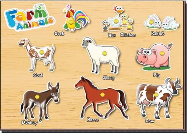 Farm-animal - Cartoon