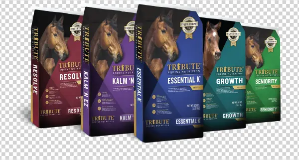 Nutrition Selector - Flyer