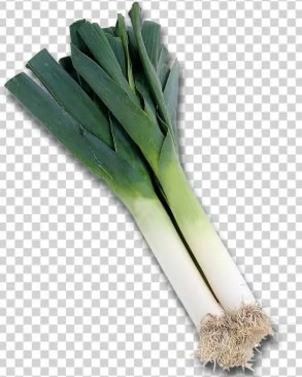 Poireau A Imprimer