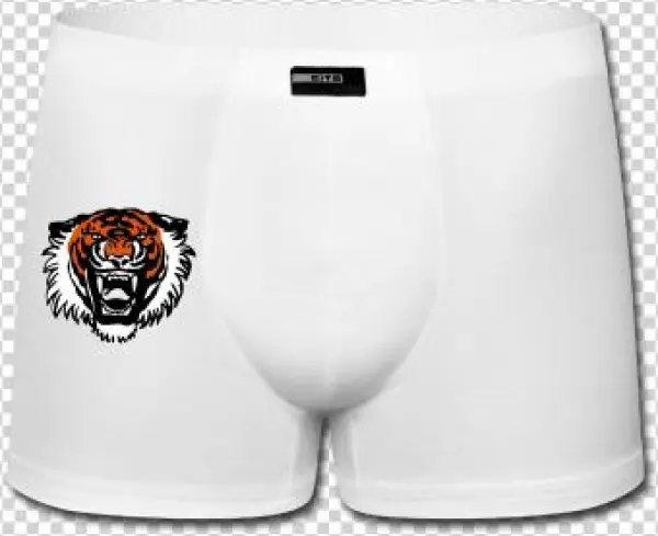 Roaring Tiger By Cherful Madness Suitable For Plot - Kelaminbesar