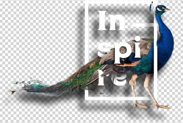 Sibelius: Swanwhite - Complete Incidental Music