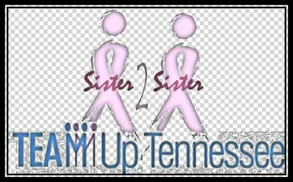 Sister 2 Sister Image - Icon