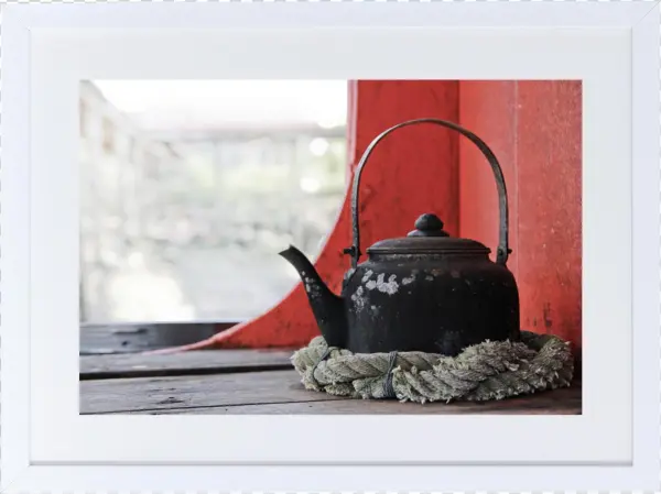 The Daily Curator - Curator