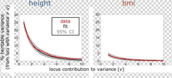 The Graphs Show The Distribution Of Genetic Variance - Transitions Xtractive