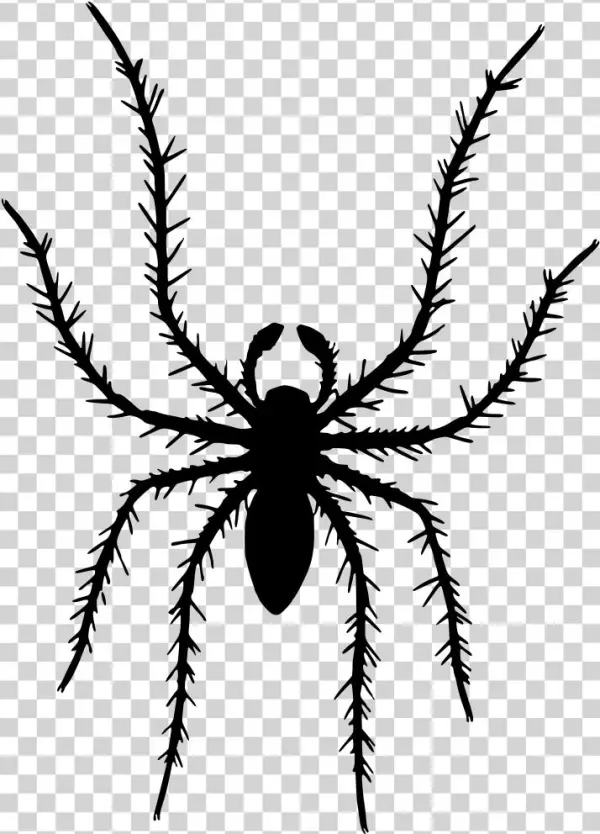 Download Image As A Png - Clip Art