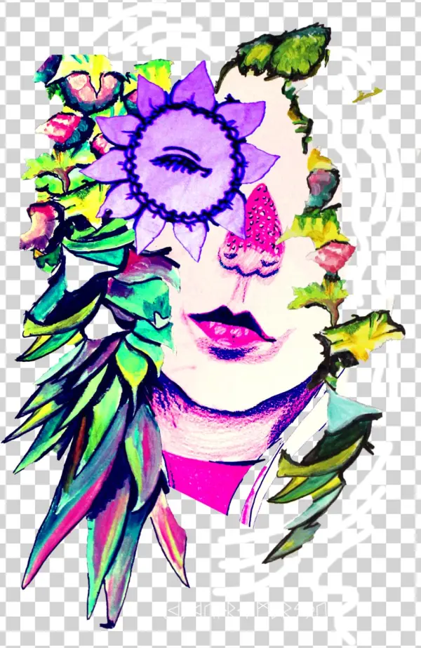 Fruit Explosion - Design