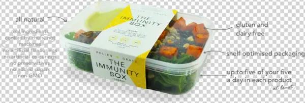 Gluten Free Dairy Free Vegan Lunch Box