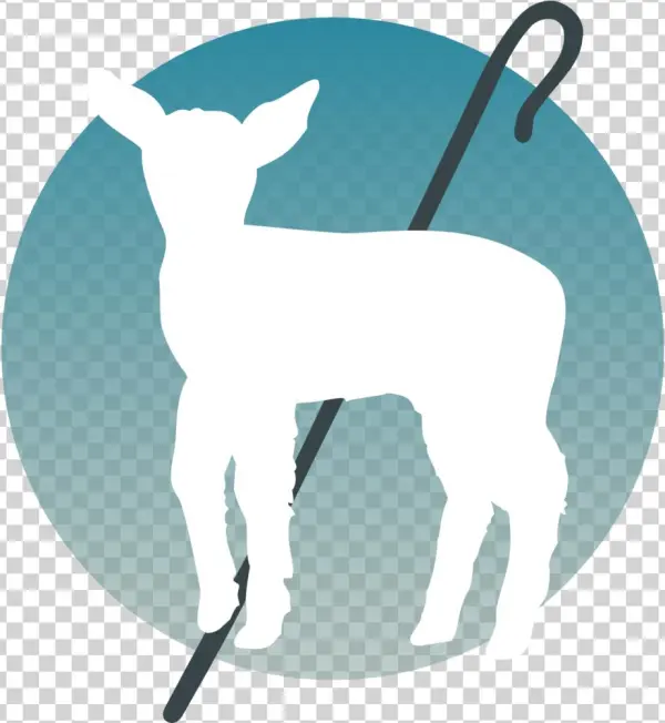 Gradient Circle - Supper