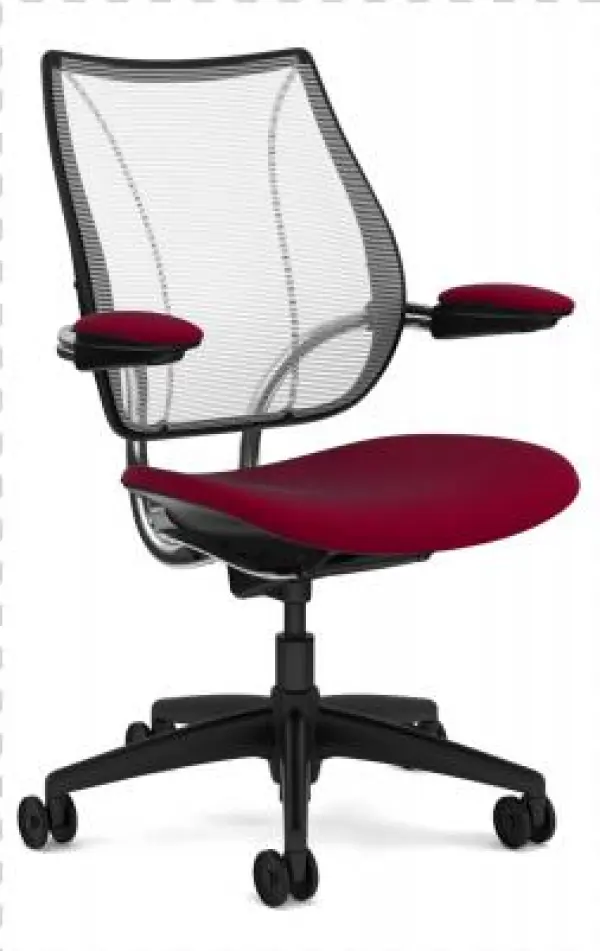 Humanscale Liberty Chair