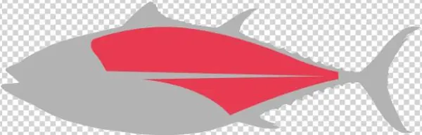 Loin - Pacific Sturgeon