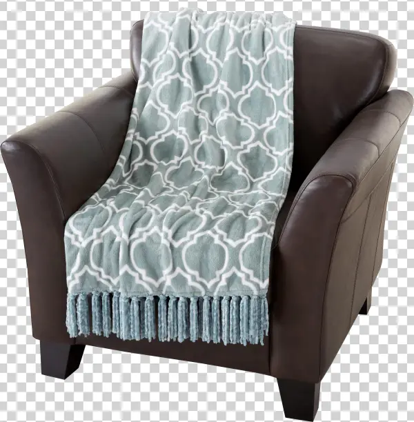 Orleans Collection Velvet Plush Throw Blanket Home