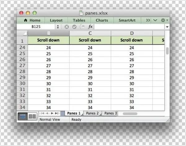 Panes - Php_xlsxwriter Example