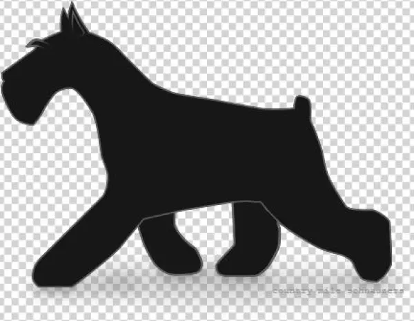 Picture - Transparent Schnauzer