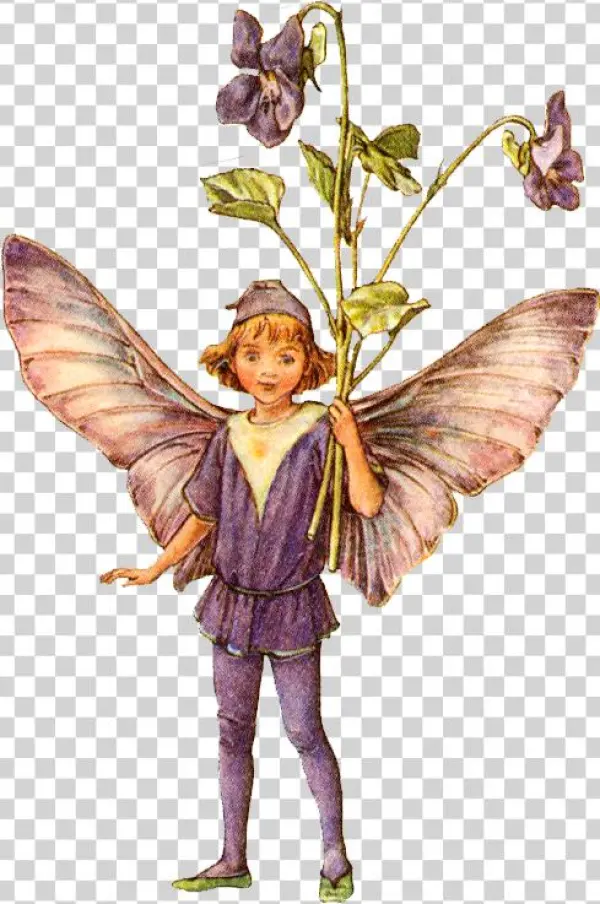 Png Image Information - Flower Fairies One Hundred Postcards By Cicely Mary