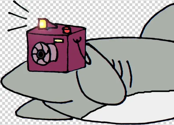 Shark With Camera Cartoon