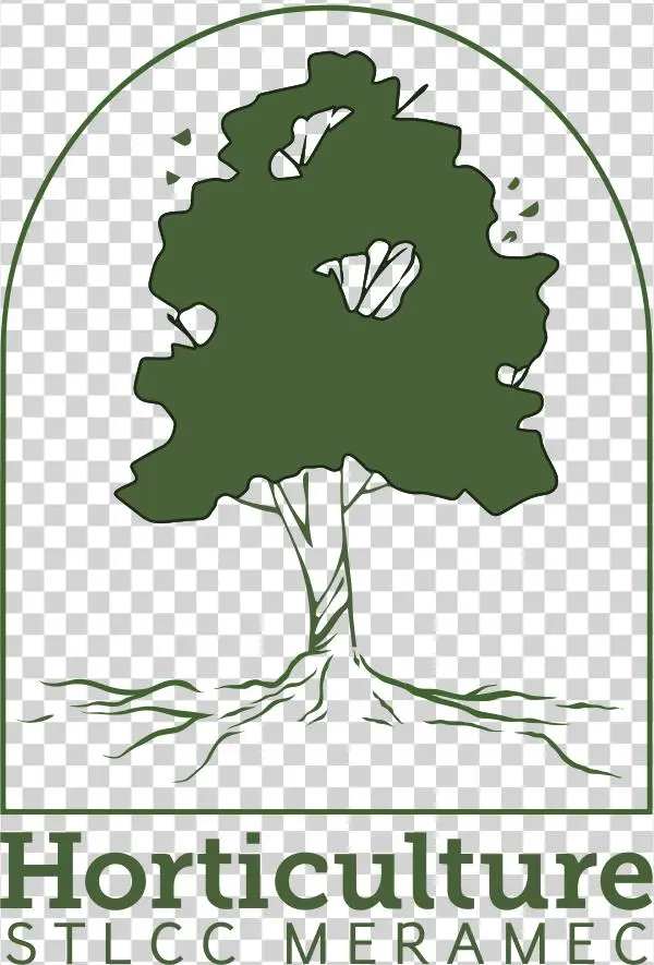 Special Presenting Sponsors - November