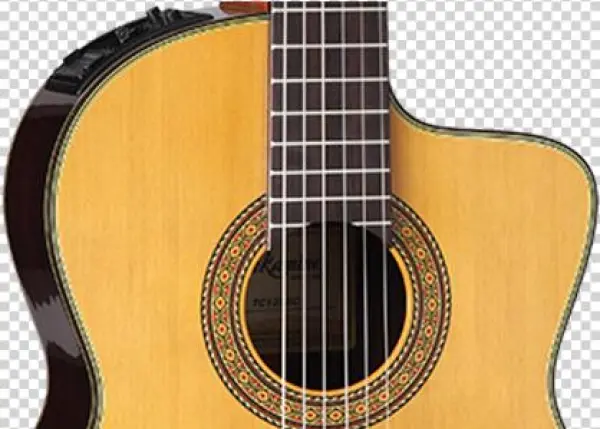 Tc132sc B - Takamine Tc132sc