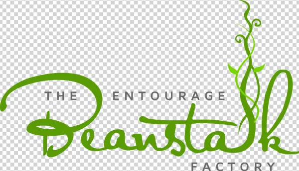 The Beanstalk Factory Attracts Leading Entrepreneurial - Beanstalk Factory