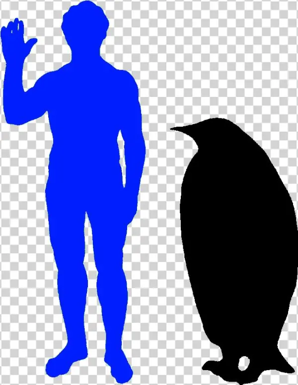 The Emperor Penguin Is The World's Biggest Penguin - Dromaeosaur Size