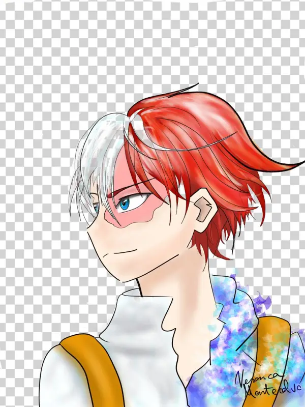 Todoroki - Cartoon