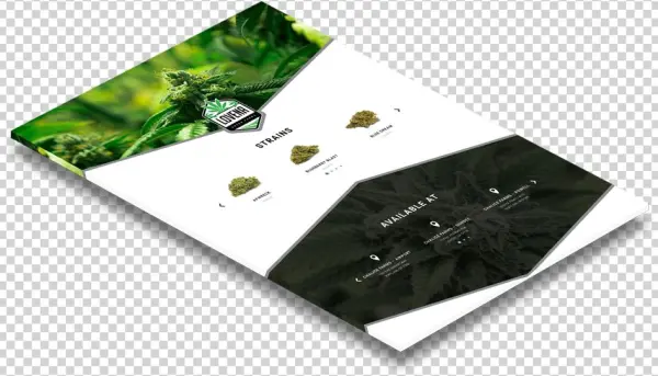 We Believe That Technology Shapes Today's Culture Like - Oregon