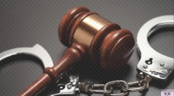 Calvin Johnson - Concise Dictionary Of Crime And Justice