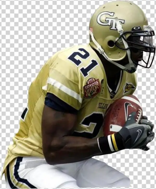 Calvin Johnson Photo Calvinjohnsoncutis9 - Photograph