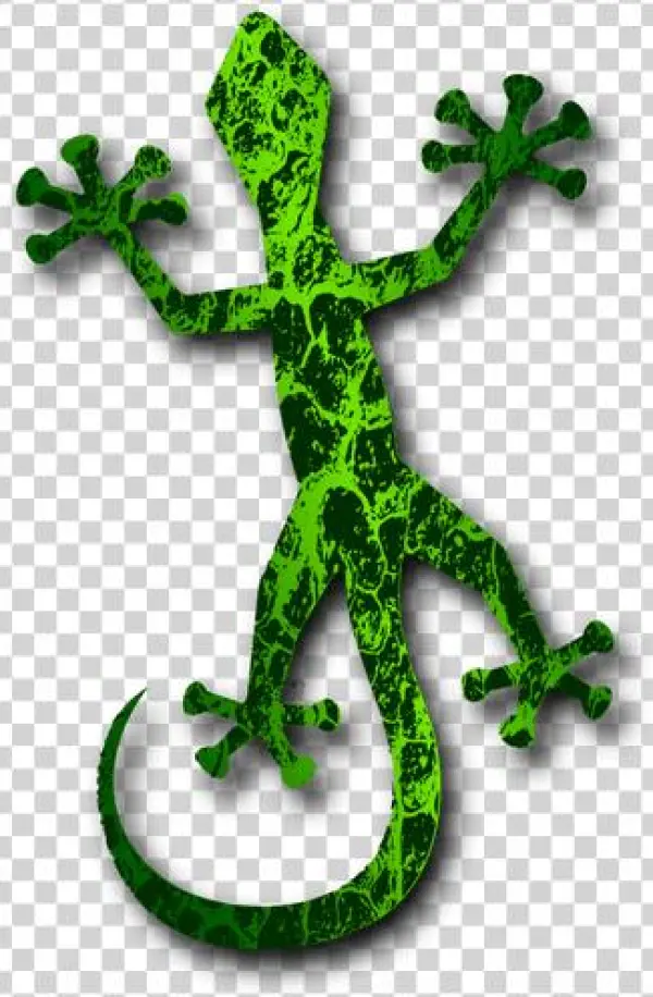 Gecko Cartoon Transparent Background