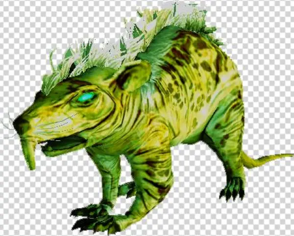 Giant Sewer Rat - Iran