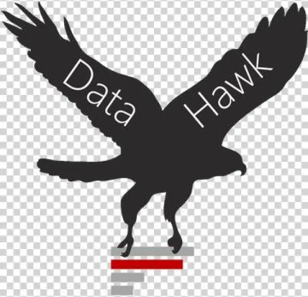 Hawk Clip Art Black And White