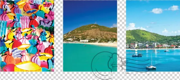 Ladyj Cruise Destination St Maarten Collage - Collage