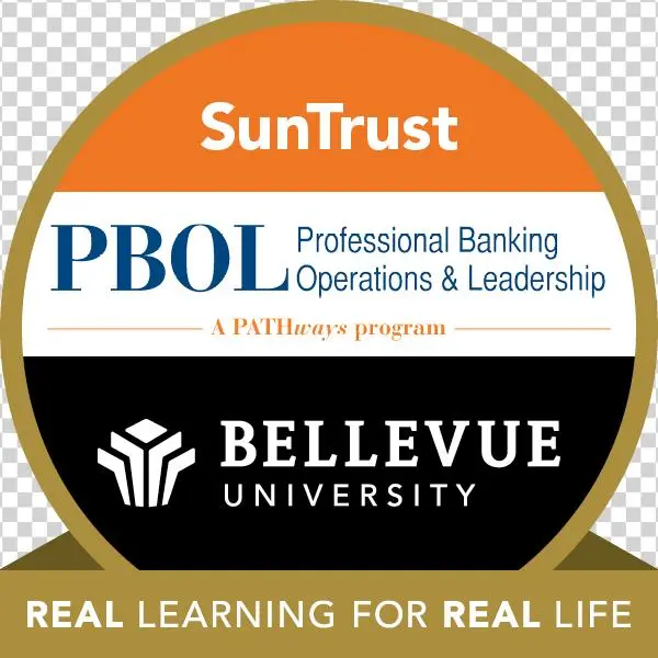 Professional Banking Operations & Leadership - One Bellevue Place