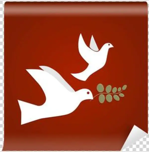 Pure Religion: Hopeful (cdrp) Cd