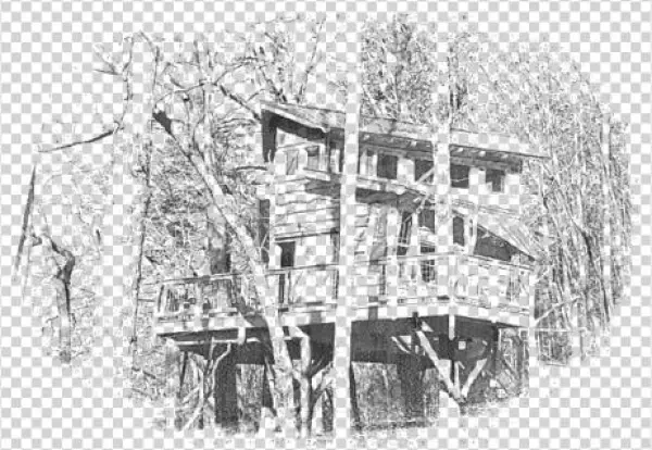 The Blue Ridge Treehouse Is Located At Bear Claw Vineyards - Blue Ridge Treehouse