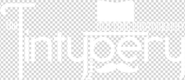 The Tintypery On Groupon - Graphic Design