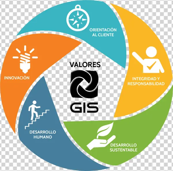 Decálogo Gis - Organization