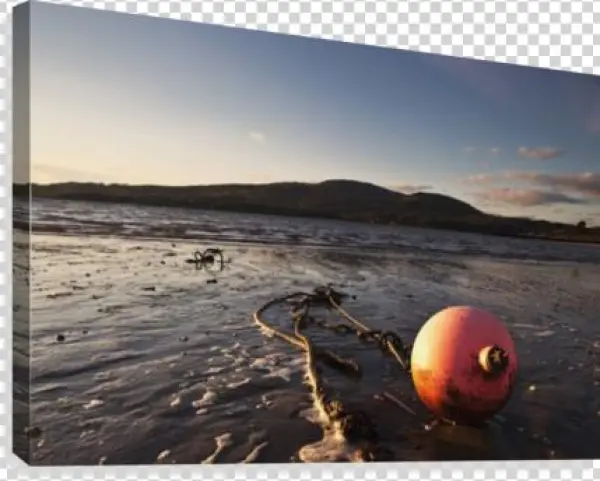 Dumfries, Scotland - Mudflat