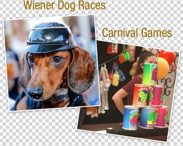 It's A Kiwanis Fundraiser And A Family Fun Day Filled - Scent Hound