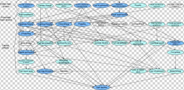 Mental Model Depicting Perceptions Of Three Local Government - Sustainability