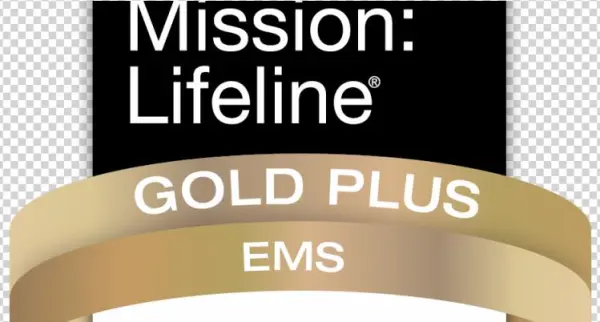 Mission Lifeline Gold Plus Ems Award 2017 - Boss Life: Surviving My Own Small Business [book]