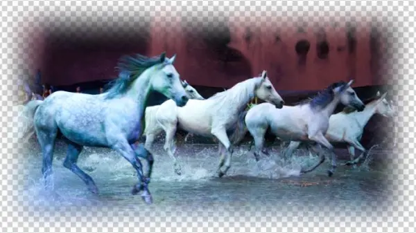 Odysseo, Nascar & Easy Ways To Change Your Diet This - Horses Cavalia