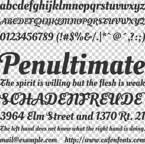 Oleo Script Swash Caps Regular - Canning And Preserving: Over 30 Delicious Small Recipes