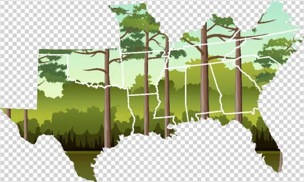 See Your State's Statistics - Tree