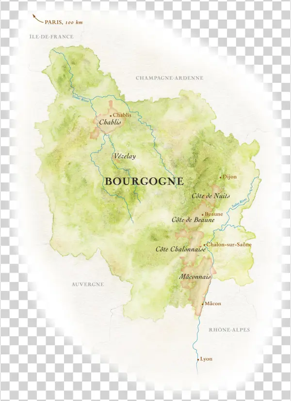 Simply Mentioning The Word Burgundy Is Enough To Raise - Atlas