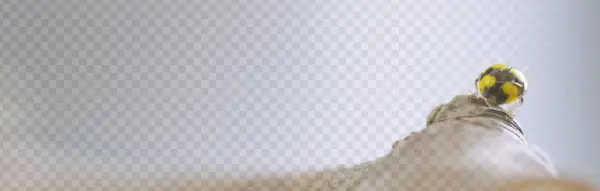 Single-vineyard - Wine