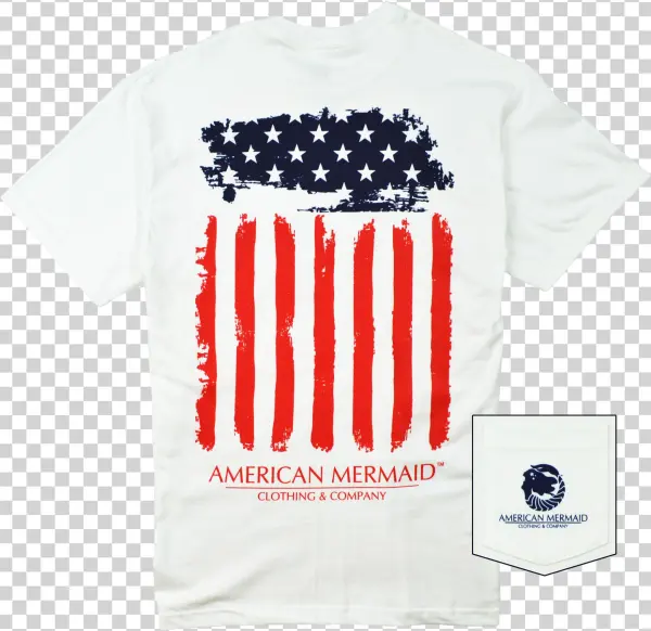 Stars & Stripes Tee - Amercian Government And Politics