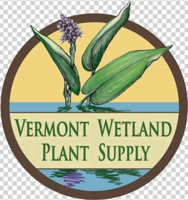 Vermont Wetland Plant Supply - Violencia Sexual