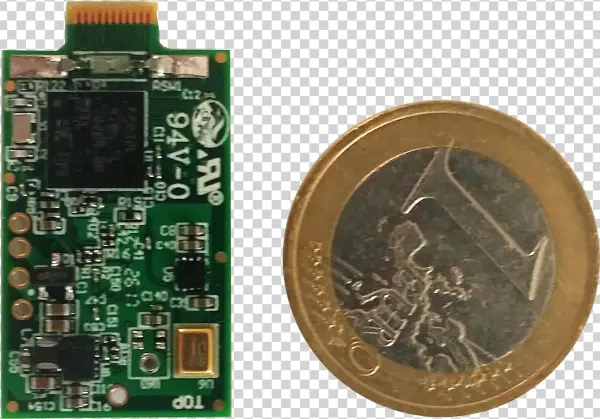 Vesper-pipistrelle - Electronic Component