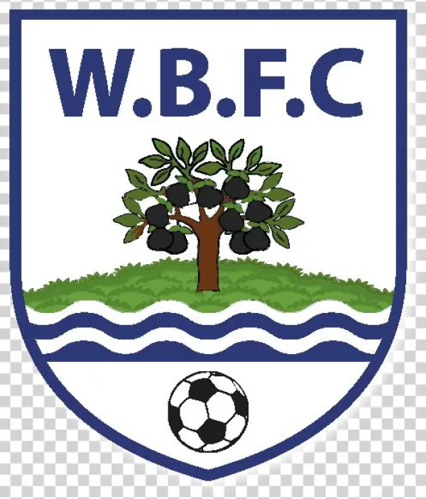 Worcester Bfc - Worcestershire - English County Flag 25mm Pin Button