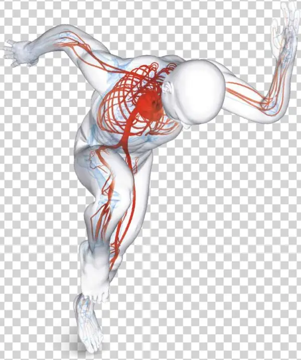 Bemer-1 - Bemer Therapy